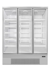 Quick Freezing Supermarket Commercial Upright Display Refrigerator Freezer For Frozen Food
